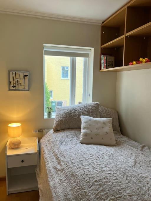 Charming 3 Bedroom Apartment Akureyri Buitenkant foto